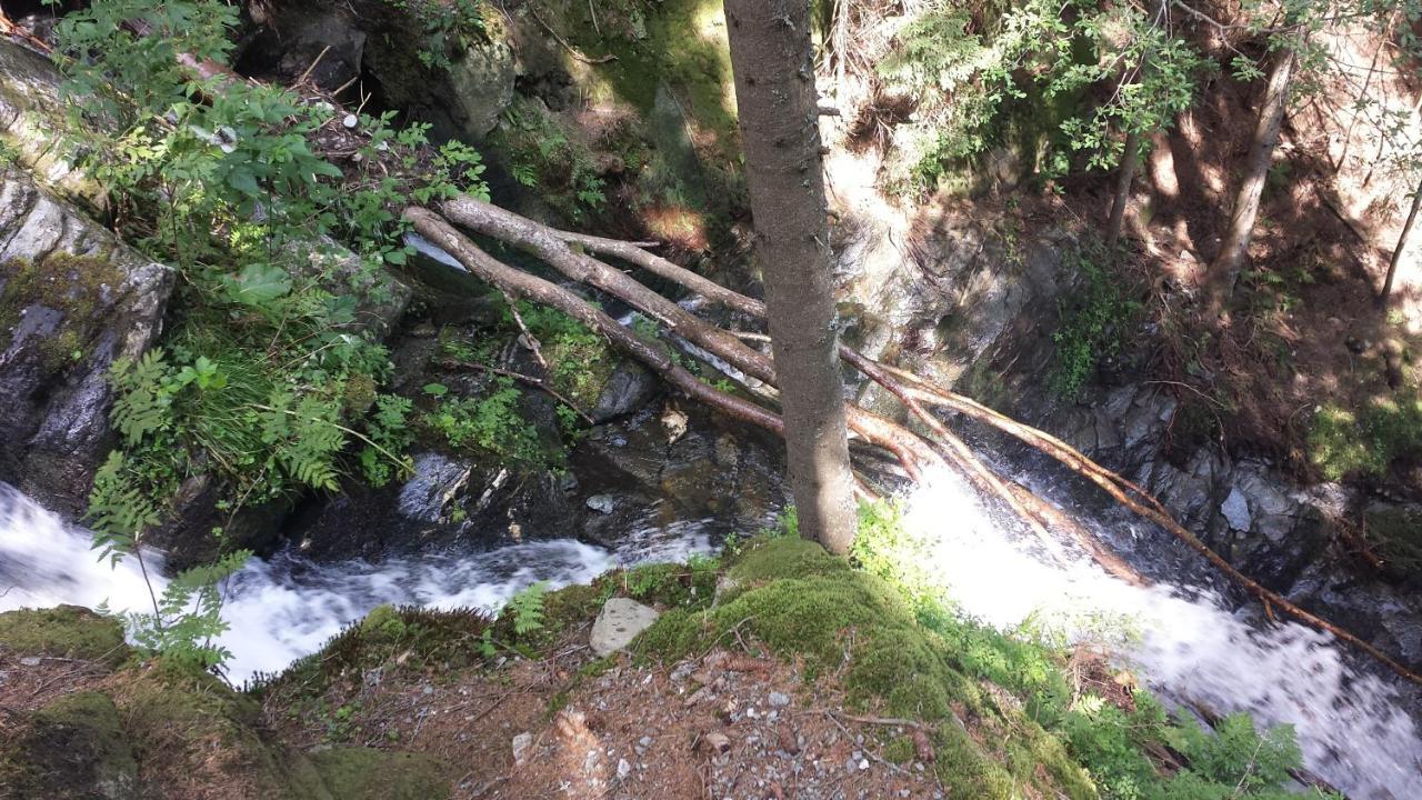 Wald-Panorama-Zimmer Bed and Breakfast Mönichkirchen Εξωτερικό φωτογραφία