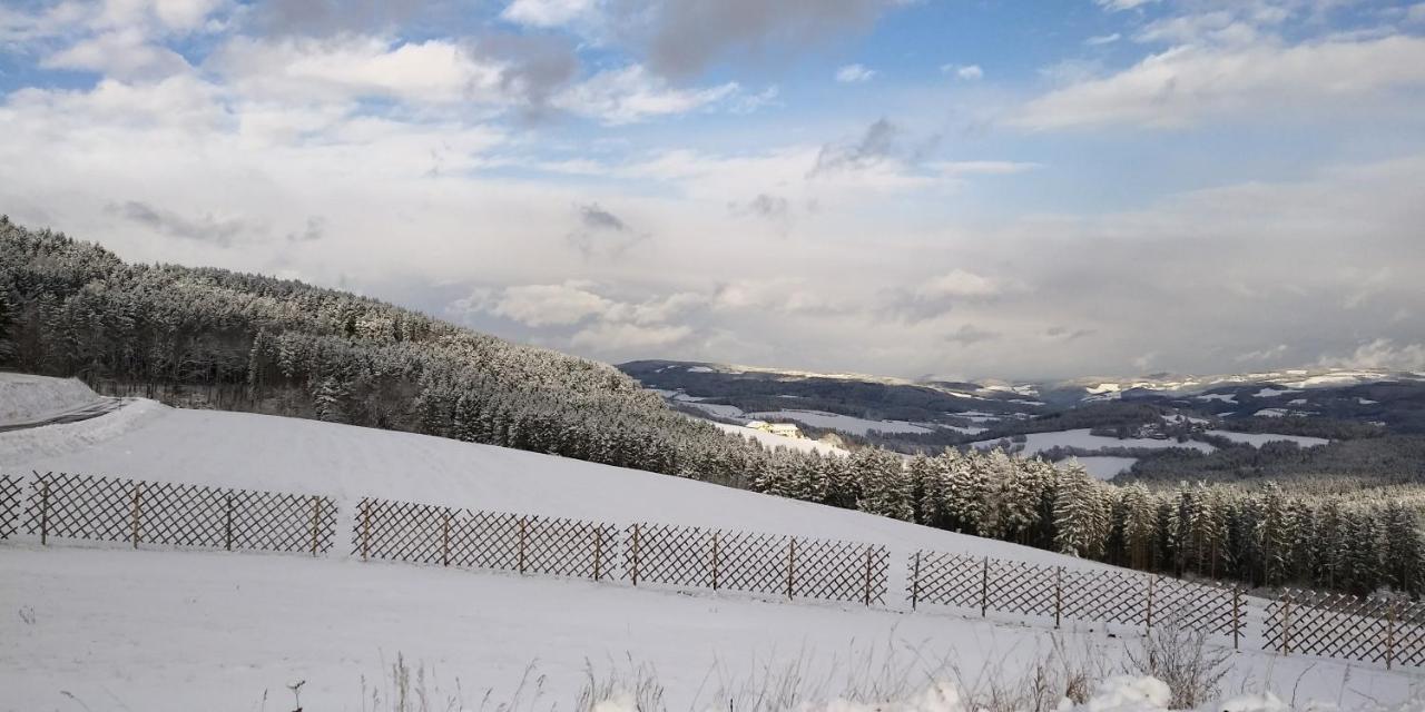 Wald-Panorama-Zimmer Bed and Breakfast Mönichkirchen Εξωτερικό φωτογραφία